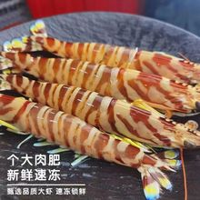 竹节虾鲜活速冻红魔虾海鳌虾刺身新鲜甜虾餐饮生鲜自助餐琵琶虾