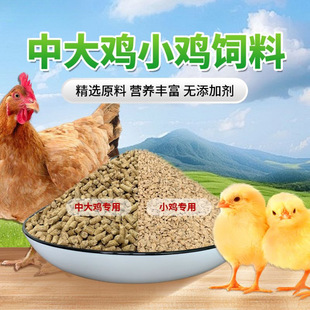 �д��u�w���ϵ��u���uС�u�r�u�������_�����u���Zȫ�r�ߵ������