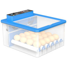 鸡蛋孵化箱 鸡蛋孵化箱品牌 图片 价格 鸡蛋孵化箱批发 阿里巴巴