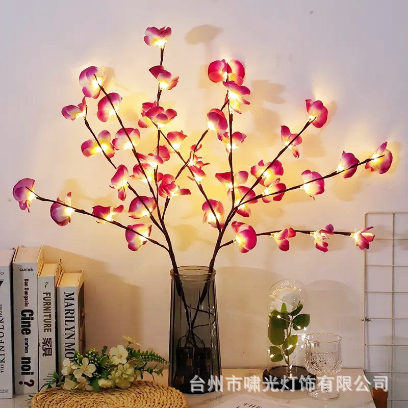 O1CN01NACkJU1YBfUJN2v4R_!!2214