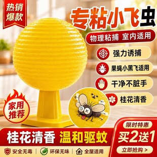 ��ω�T����ճ�x���nω�w�x�����҃���ȥ��С���w�皢�����N������