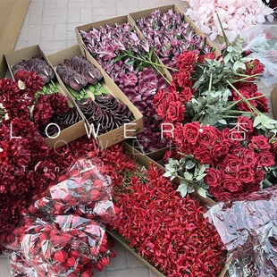 �tɫϵ�tõ�廨���滨��Y�����Ї��ŵ��Y��֦�[��t�ƻ��Ż���