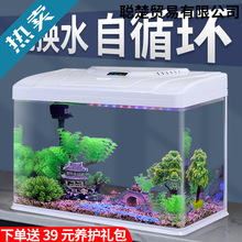 2025新款自循环金鱼缸玻璃小型桌面客厅家用免换水生态水族箱