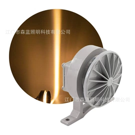 投光灯;草坪灯;埋地灯