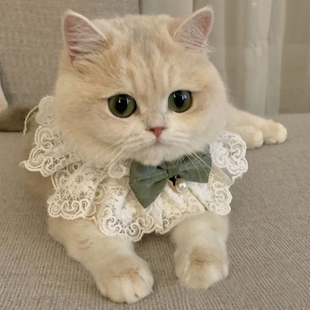 ����lulumiigo؈���·����Ŀż؈��؈ȹ�ӹ���ȹ؈؈�Ȧ����