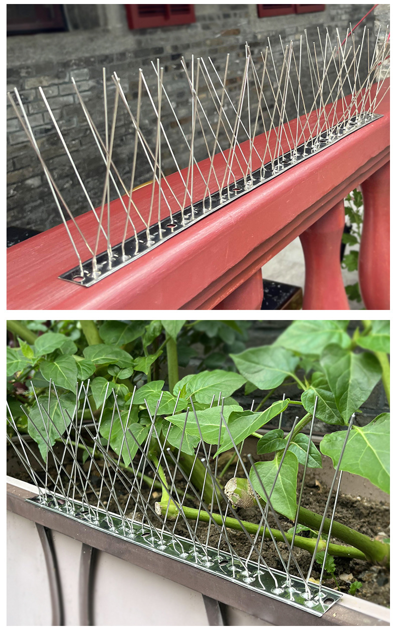 不锈钢防鸟刺 (8)