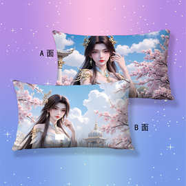 来图定制枕套狠人大帝 遮天枕头套动漫二次元卡通学生单人枕壳