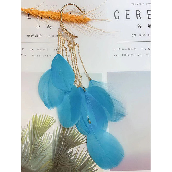 Elegant ear clips