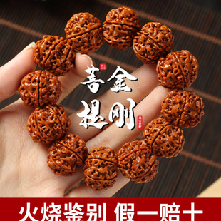 �����Ჴ�����������P���ִ�����y������ԭ����ʿ������ҷ���