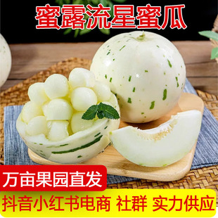 �a��ֱ�l��¶�����۹�������rˮ���Fժ�����Ƥ��¶���һ�����l