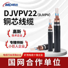 国标DJVPV22/DJVPV铜芯线缆1-20芯0.75/1/1.5/2.5平方计算机线缆