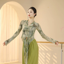 古典舞蹈服套装女新款古风弹力网纱上衣中国舞训练形体练功服纱衣