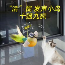 猫咪玩具自嗨解闷神器仿真会叫小鸟荡秋千挂门悬挂逗猫棒弹力羽毛