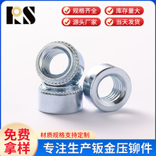 Ӣ�� CLS-0518-1 CLS-0518-2̼䓲��P�304���T��ĸ �F����