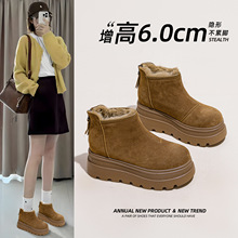 ѩ��ѥŮ2026�궬���¿�ӽq������߰ٴ��n�����eЬ�W�t��qѥ��