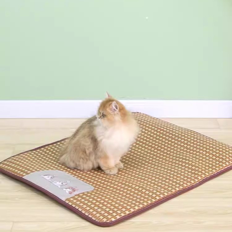 Nuevo tipo de mascota esterilla de seda de verano para perros esterilla de sueño para gatos esterilla de seda fresca para todas las estaciones artículos de mascota universales