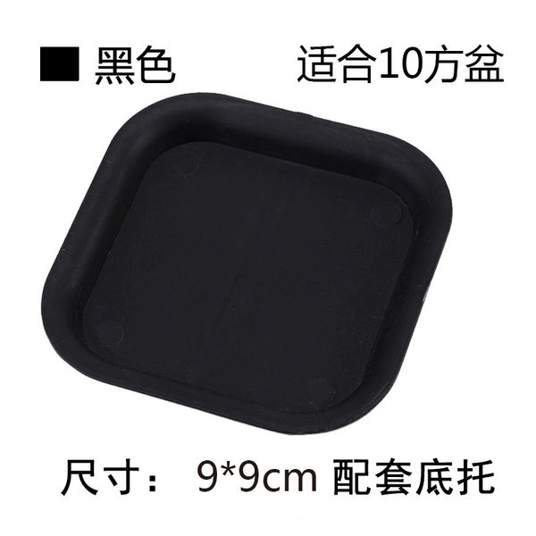 10 square cushions black