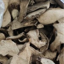���l��������ș���������