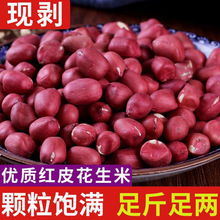 红皮花生米农家小粒红衣花生米仁杂粮生花生仁红米花生米小红花生