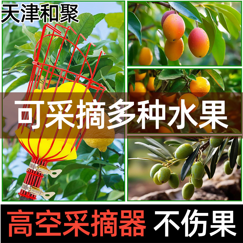 摘果器可拆卸采摘器 园林工具 水果伸缩摘 高空摘果剪 五金工具