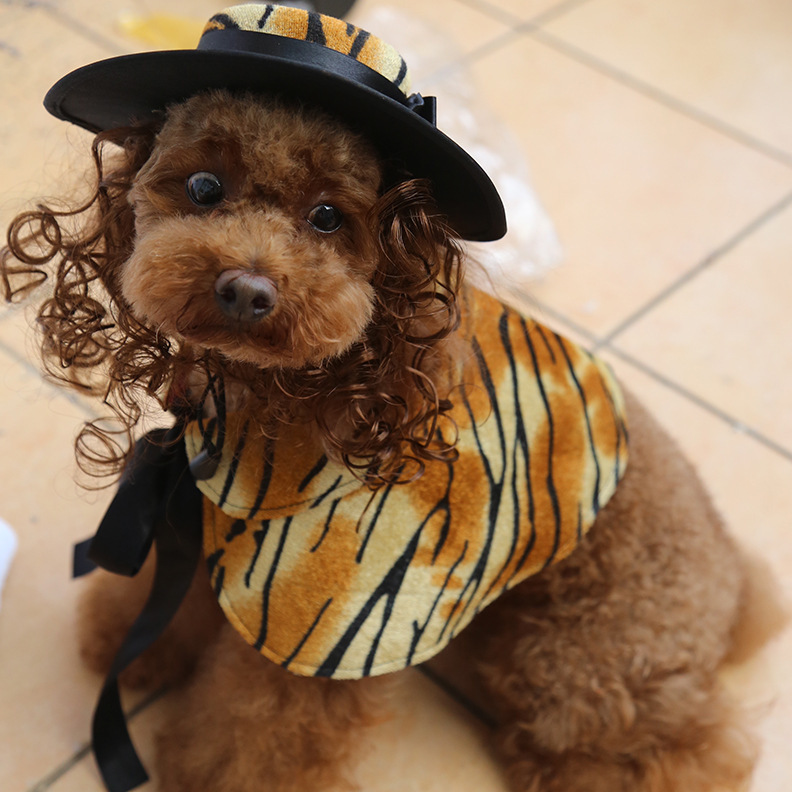 Costume di halloween per cani con mantello e cappello accessori_voghion.com