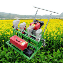 6����ޣ�ݾ����C�r�� �߲˾����N�Ӳ��N�C С���߲����ͷNֲ�C