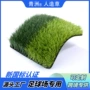 寿命青洲人造人工运动草
