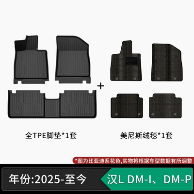 Modelə uyğun ayaqaltı: custom-made car mats, automotive-grade - 25-models-of-byd-han-l-dm-i-dm-p-tpe-floor-mats-menis-velvet-carpet