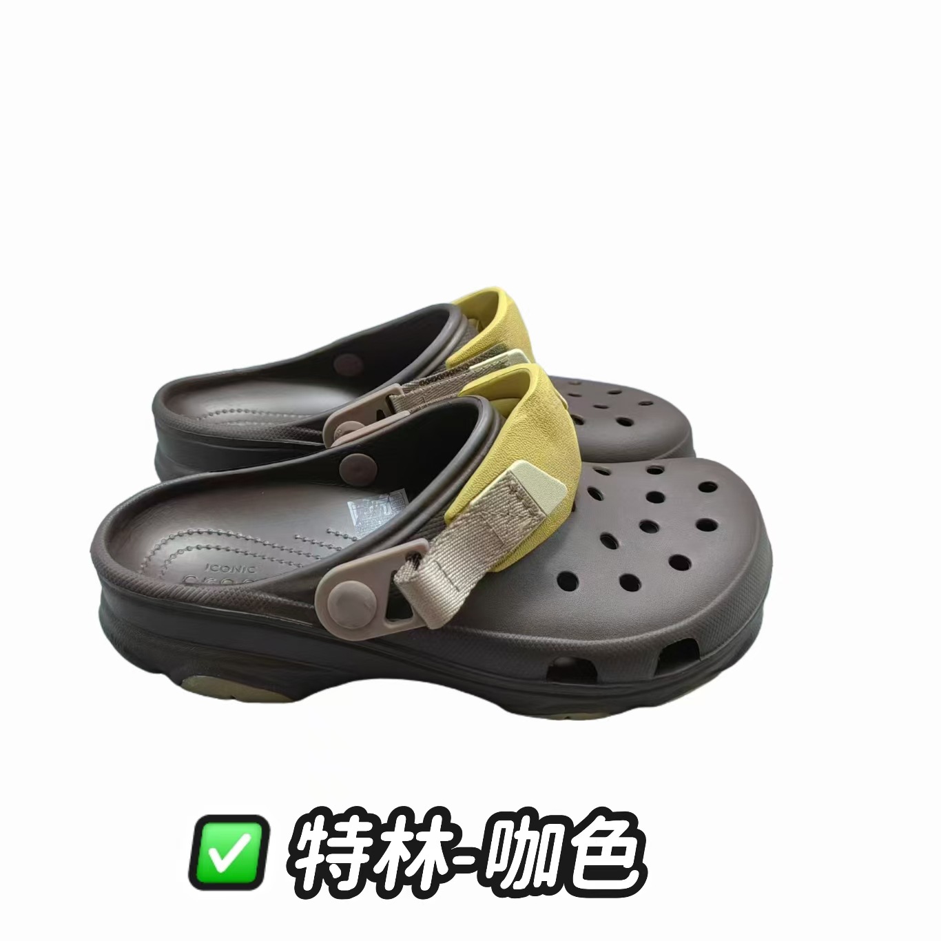 微信?片_202411051221181