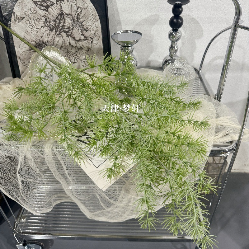 밝은 녹색