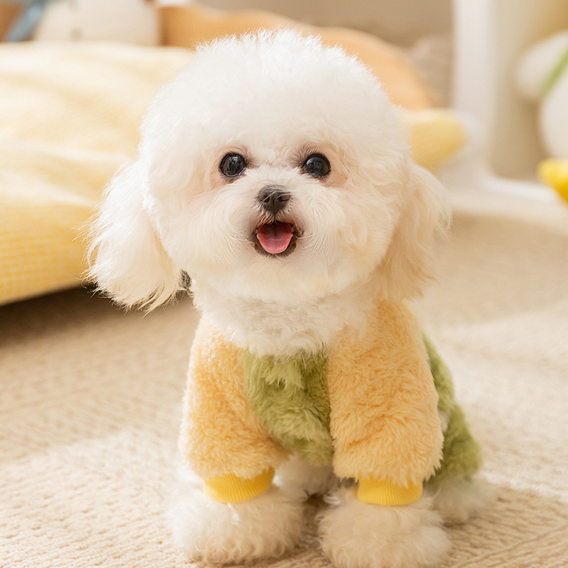 Macaron bola de lana tracción de cuatro patas camisas de peluche de manga larga perros pequeños lindos ropa de casero perros pequeños ropa de mascotas gatos