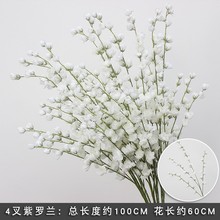 ���滨��ɫϵ�¿� ��c �Ҿ� �Ƶ��̈���ꐵ���b��滨�ٻ�