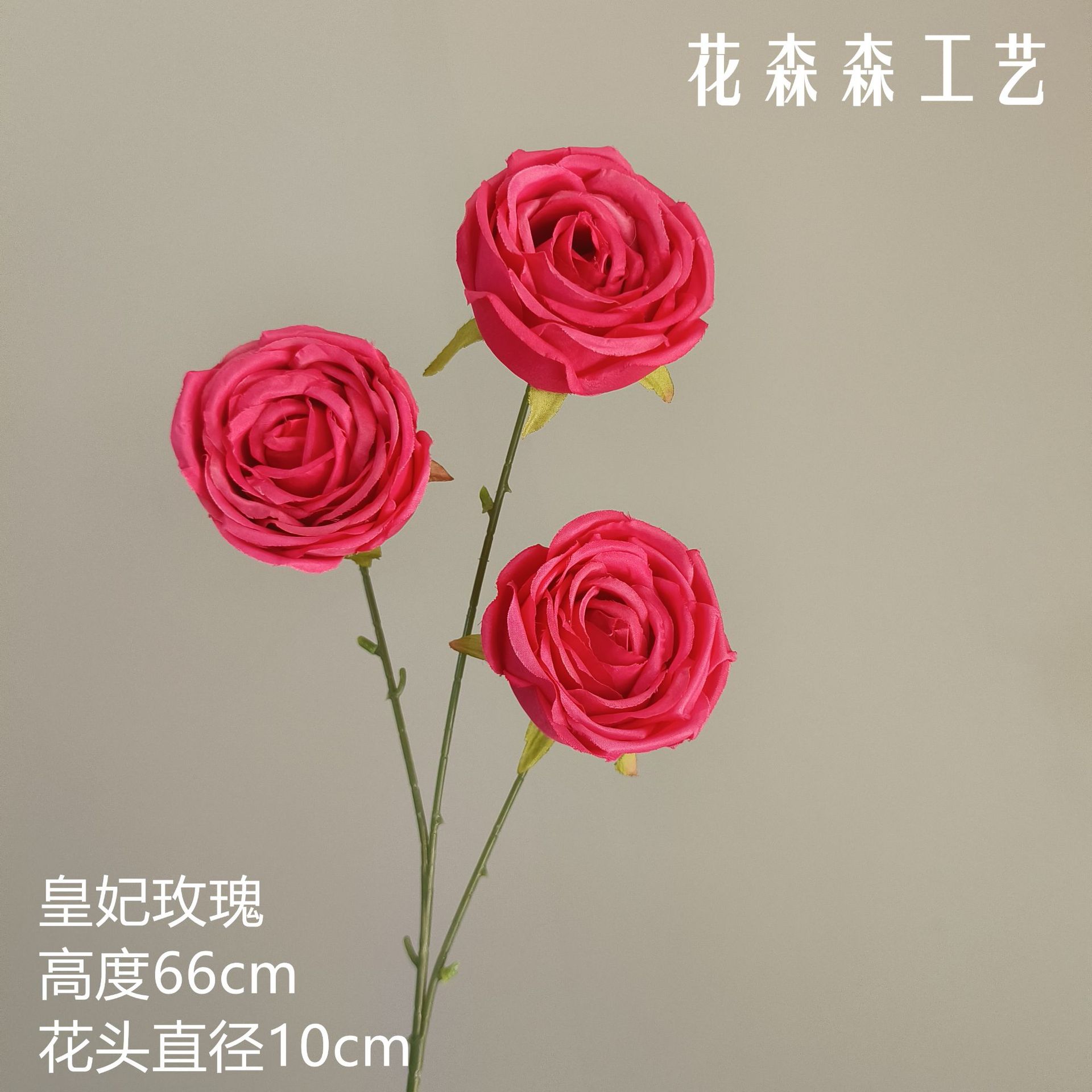 제국 첩 장미 133606