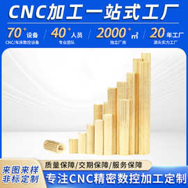 CNC加工数控车床件 铜柱M2.5双通圆形滚花摄像机螺丝黄铜铣床加工