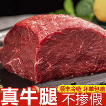 牛肉新鮮5斤品質牛腿肉黃牛肉牛腱子微調火鍋食材批發冷凍2斤
