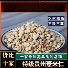  С޲ ޲ ޲׷ ޲ʲ 500 ]