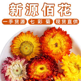 批发云南七彩菊 可装饰新货七彩菊花头干花 散装500g农产品中药材