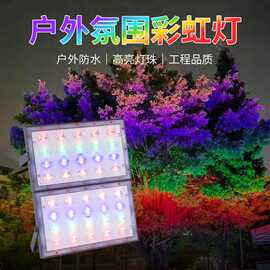 户外LED染色灯彩虹照树灯园林公园静文旅七彩投光灯景观灯夜景