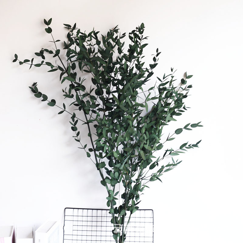 Flor seca Flor eterna Gypsophila Bola de oro No me olvides Flor seca Rosa hoja de eucalipto Pine Fruit Lover Grass al por mayor