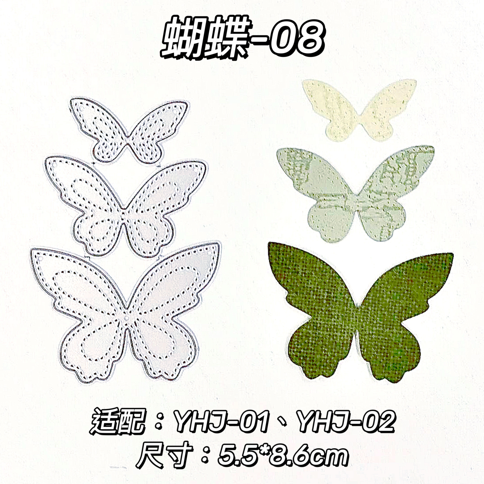 DM-butterfly-08