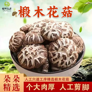 ���������ľ�󻨹����㹽Ģ�����b��؛���l���Sֱ������������؛