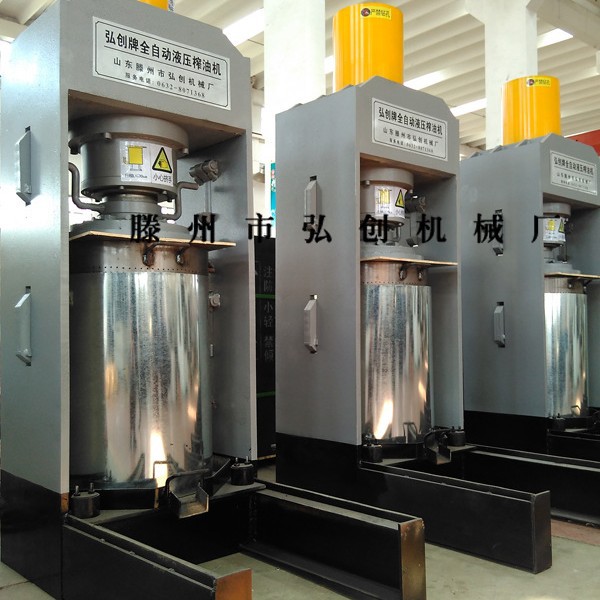 新疆塔城核桃油沙棘油榨油机      红花籽油紫苏油液压榨油机