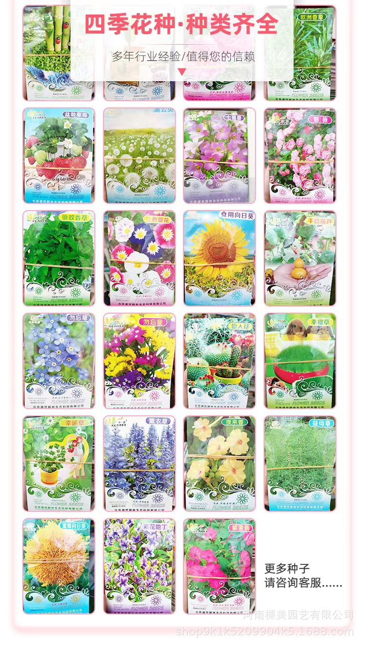 02361511f7139e54da4ba58e6aa04d