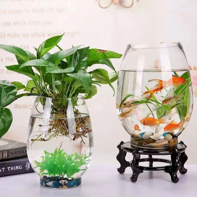 Dinosaur egg type hydroponic glass bottle large small size aquarium glass fish tank transparent glass vase factory wholesale