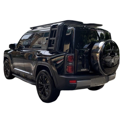 Haval Raptor Roof Platform, Roof Roof rack - raptors-upgraded-to-4th-generation-side-ladder