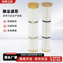 聚酯纤维除尘滤芯滤筒阻燃大流量FPPT覆膜过滤器搅拌站仓顶除尘滤