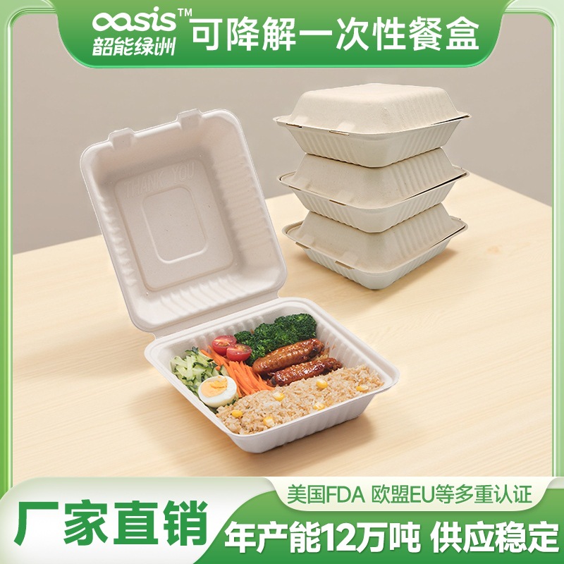 Shaogeng oasis Pulpa de caña de azúcar Pulpa de bambú fiambrera P8-inch ecológico vajilla desechable degradable compostable