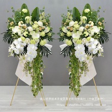 �_�I���@�ٻ������w�c��ӭ�e�b[���̈���䁙��������ػ��{ɫ