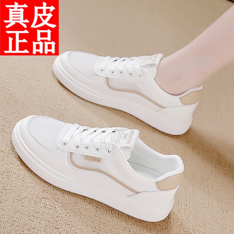 Mặt lưới màu trắng / 35