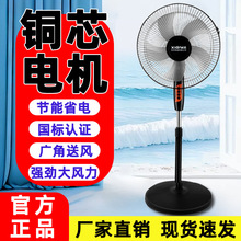 风扇电风扇落地式立式落地扇家用摇头静音节能风力宿舍卧室